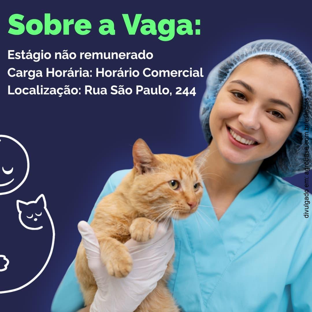 Estágio clínica veterinária – Ribeirão Preto/SP