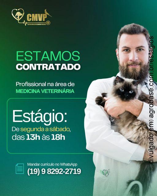 Estágio medicina veterinária – Paulínia/SP
