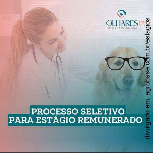 Estágio remunerado em med. veterinária – Americana/SP
