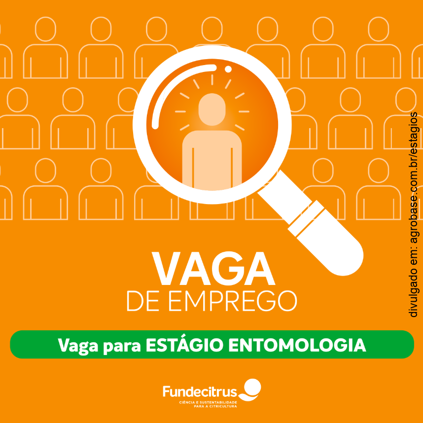 Estágio em entomologia – Araraquara/SP