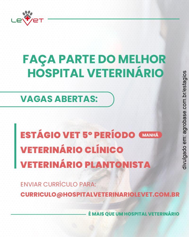 Estágio em hospital veterinário – Curitiba/PR