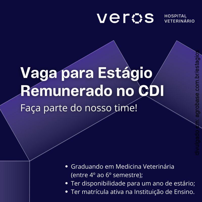 Estágio remunerado medicina veterinário – São Paulo/SP