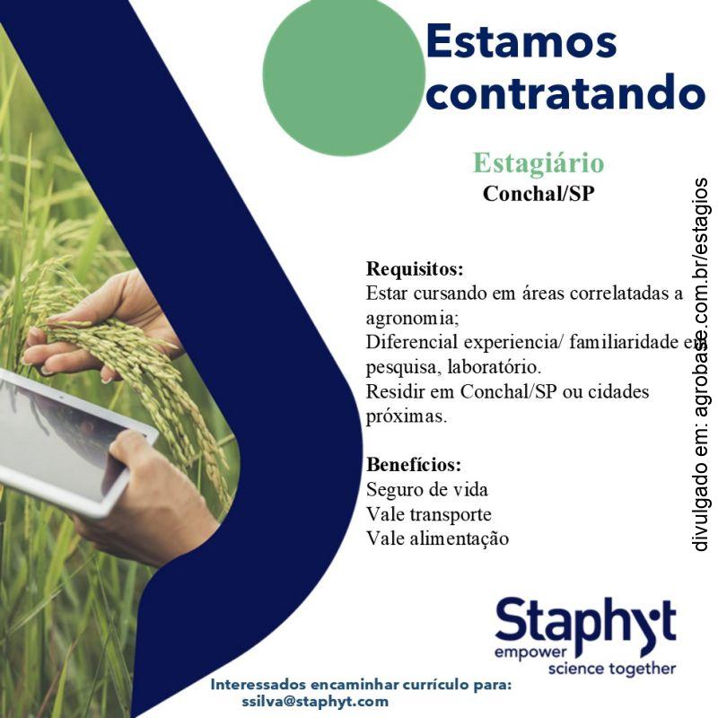 Estagiário de agronomia – Conchal/SP