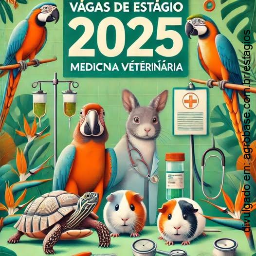 Estágio 2025 na Toca Silvestre – Bauru/SP