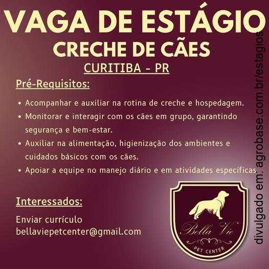 Estágio em creche de cães – Curitiba/PR