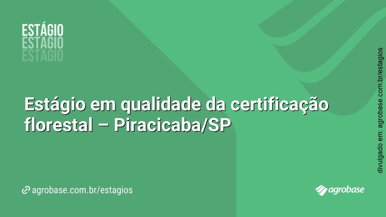 Estágio em qualidade da certificação florestal – Piracicaba/SP