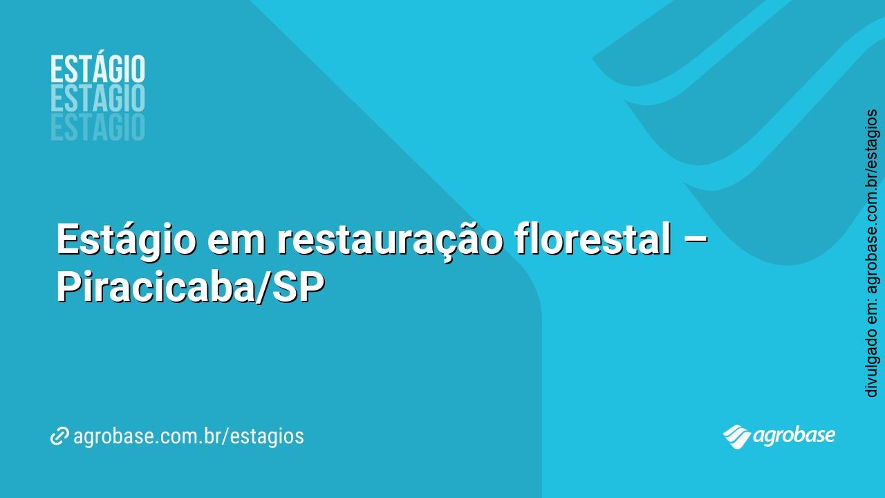 Estágio em restauração florestal – Piracicaba/SP