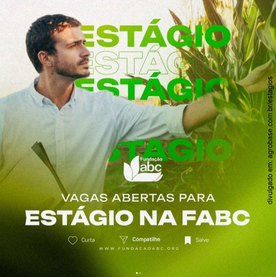 Estágio no setor de entomologia – Castro/PR