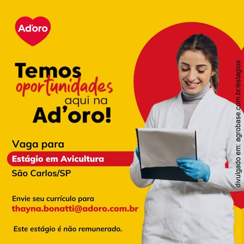 Estágio em avicultura – São Carlos/SP