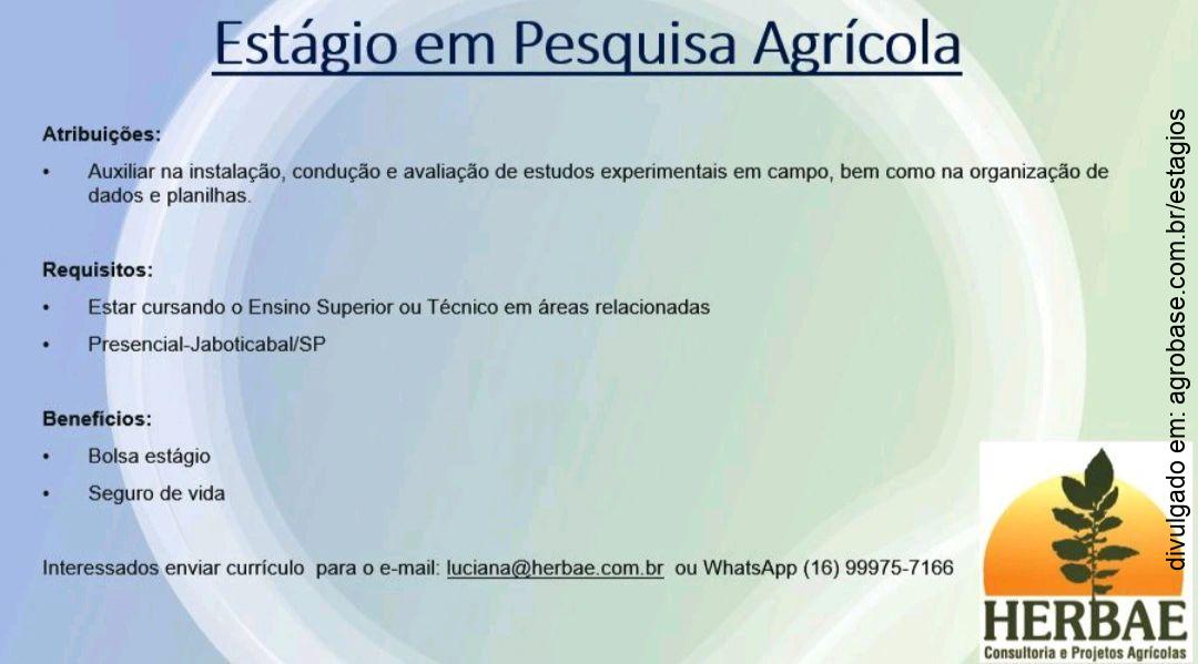 Estágio em pesquisa agrícola – Jaboticabal/SP