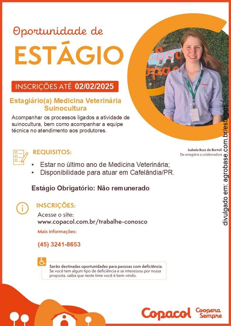 Estágio suinocultura – Cafelândia/PR