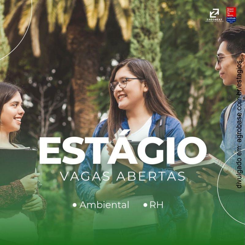 Estágio ambiental – Brasília/DF