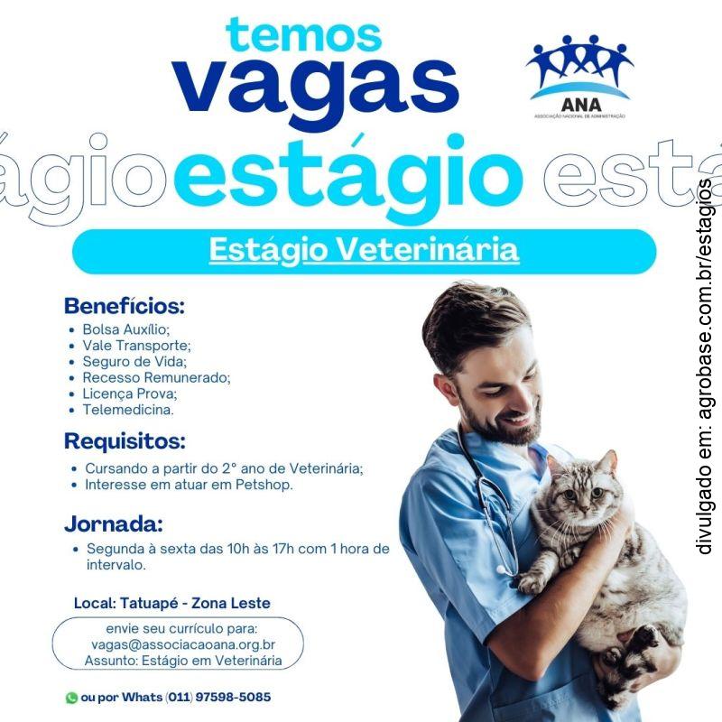 Estágio em veterinária – São Paulo/SP [Tatuapé]