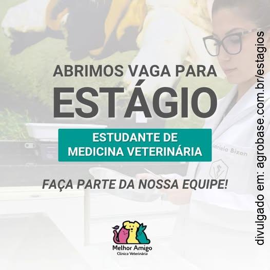 Estágio estudante de medicina veterinária – São Carlos/SP