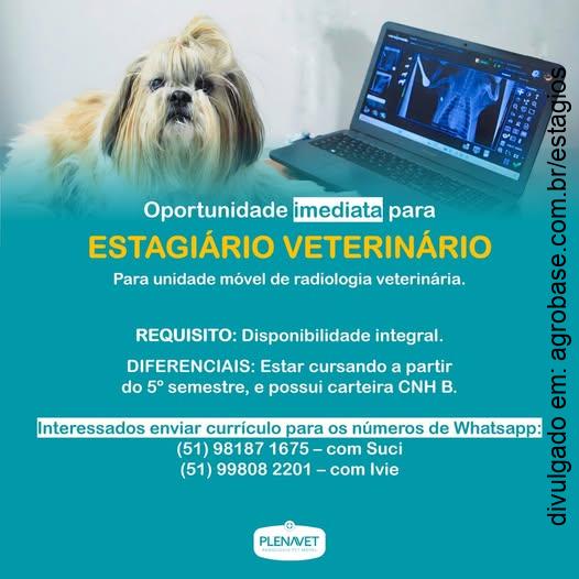 Estágio em radiologia veterinária – Canoas/RS