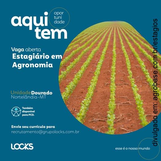 Estagiário em agronomia – Nortelândia/MT