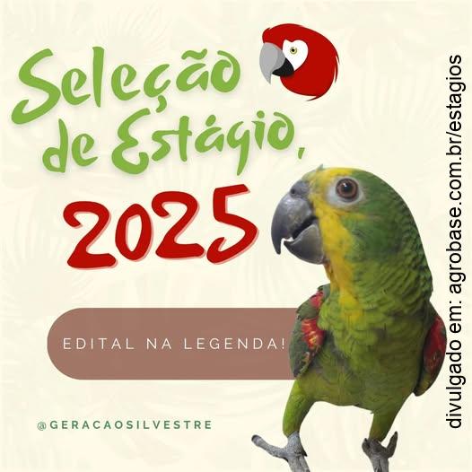 Seleção de estágio Geração Silvestre 2025