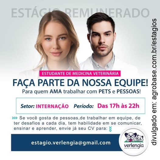 Estágio em medicina veterinária – Campinas/SP