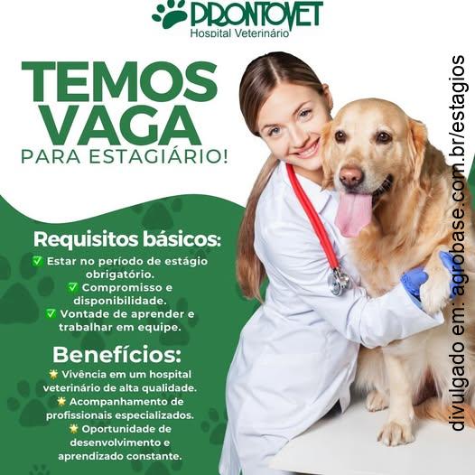 Estagiários obrigatórios hospital veterinário – Juiz de Fora/MG