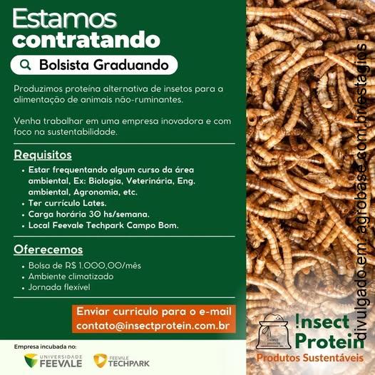 Bolsista estudante: proteína de insetos na alimentação animal – Campo Bom/RS
