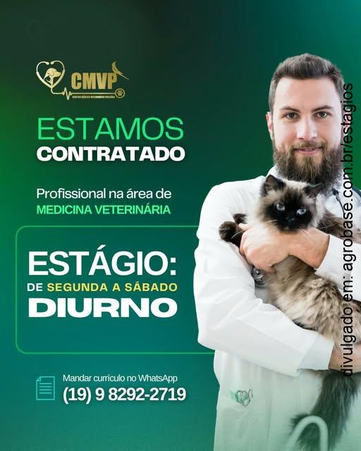 Estágio diurno medicina veterinária – Paulínia/SP