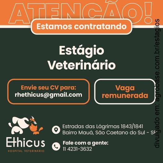 Estágio hospital veterinário – São Caetano do Sul/SP