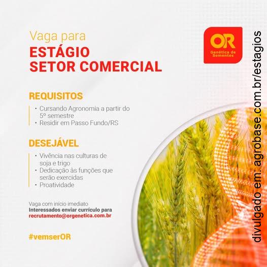 Estágio no setor comercial (sementes) – Passo Fundo/RS