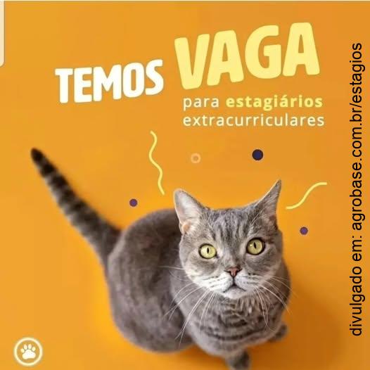 Estágio em medicina veterinária – Joinville/SC