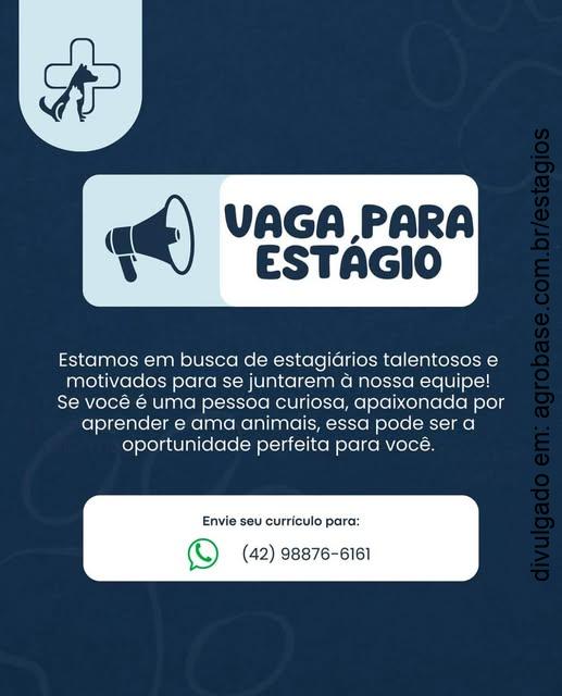 Estágio em hospital veterinário – Porto União/SC