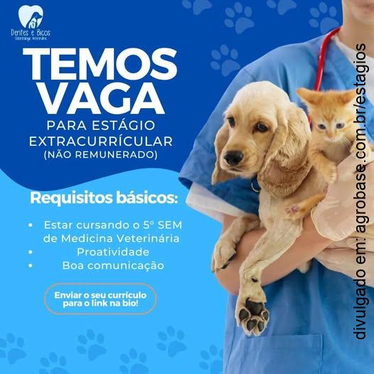 Estágio não-remunerado em veterinária – Mogi das Cruzes/SP