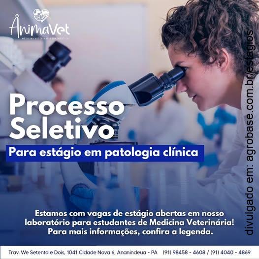 Estágio em patologia clínica – Ananindeua/PA