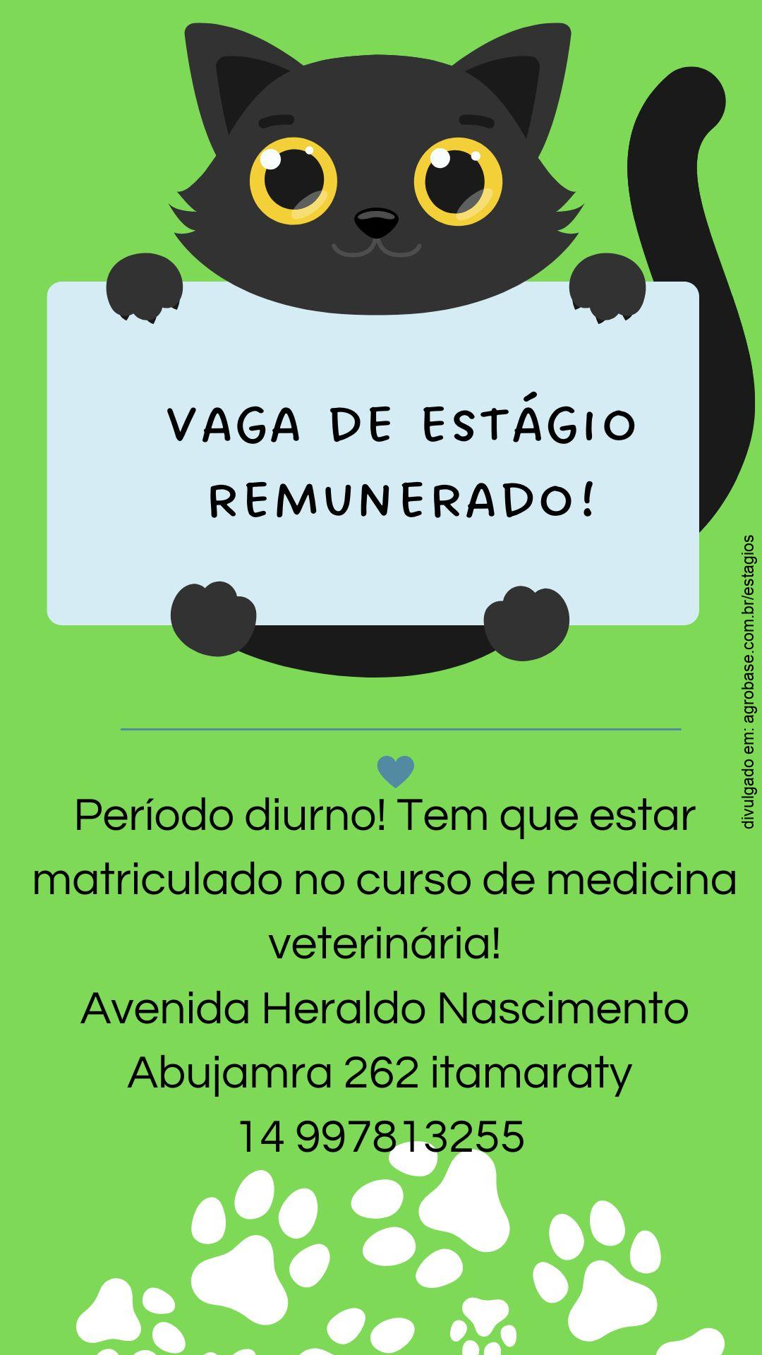 Estágio remunerado veterinária – Ourinhos/SP