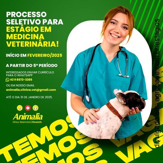 Estágio em medicina veterinária – São Mateus do Sul/PR
