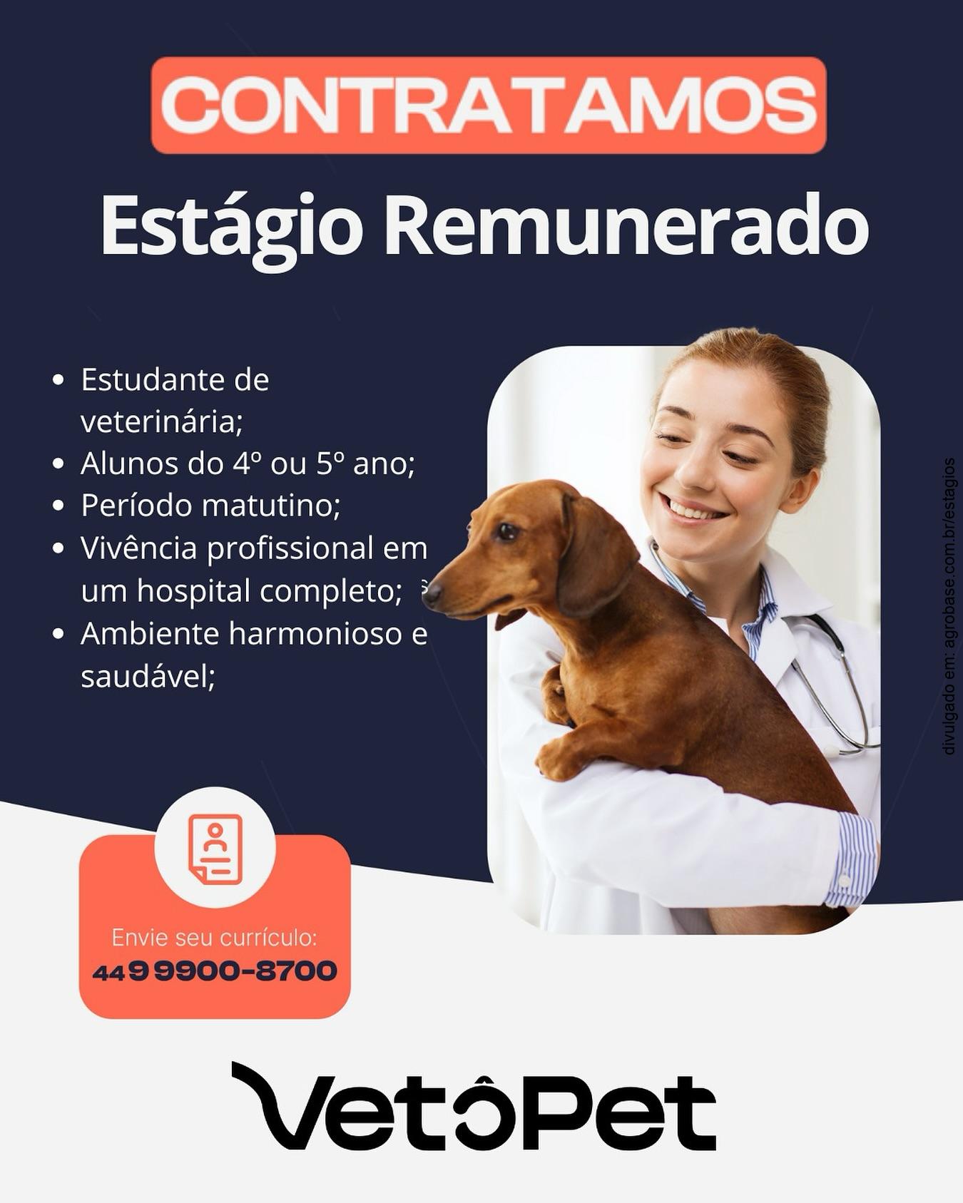 Estágio remunerado veterinária – Maringá/PR