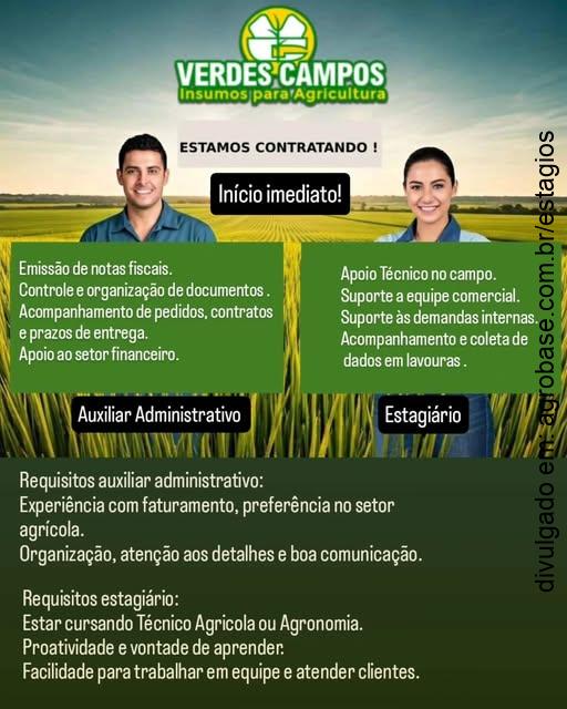 Estágio em apoio técnico no campo – Rio Brilhante/MS