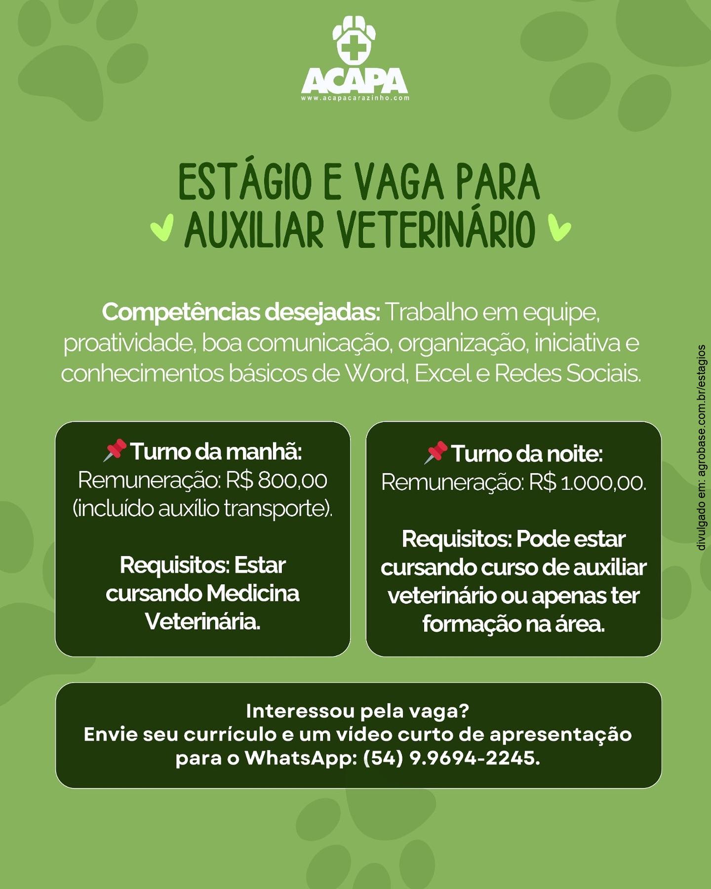 Estágio em med. veterinária – Carazinho/RS