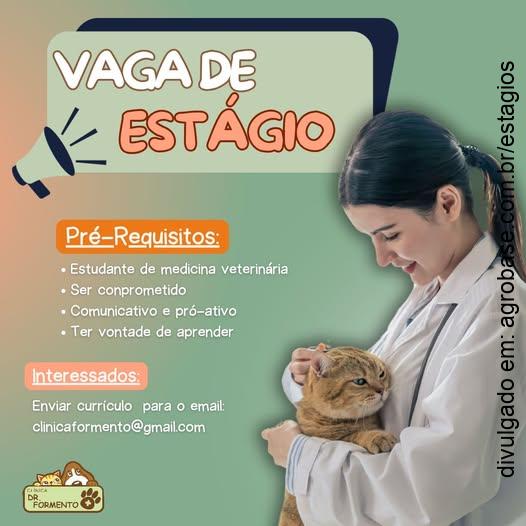 Estágio em med. veterinária