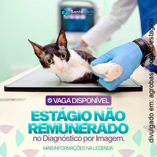 Estágio não remunerado diagnóstico por imagem – União da Vitória/PR
