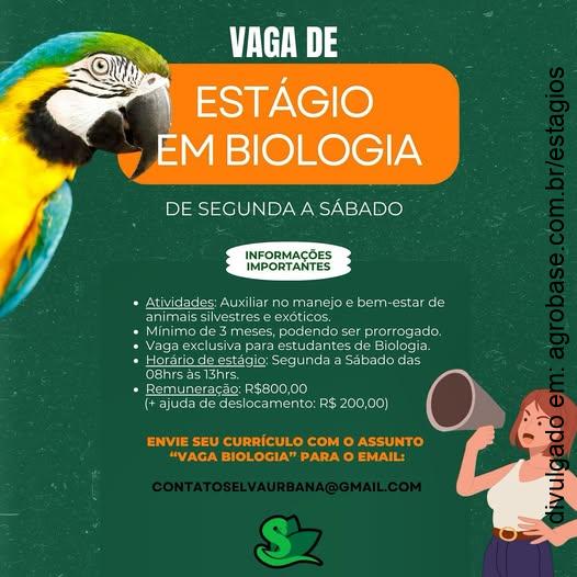 Estágio em biologia – Campinas/SP