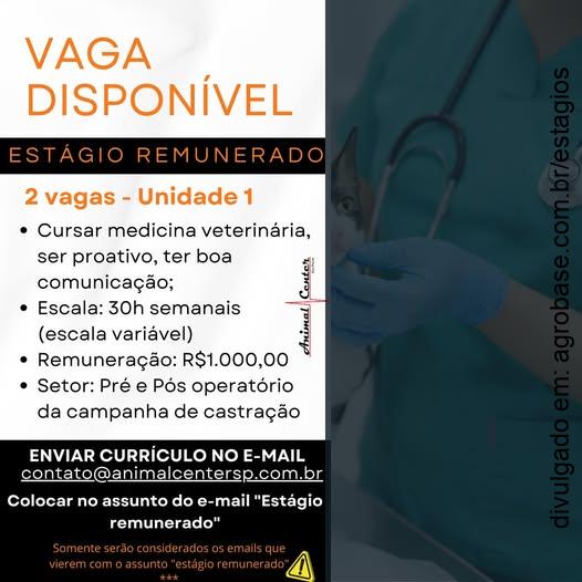 02 vagas estágio remunerado med. veterinária – São Paulo/SP
