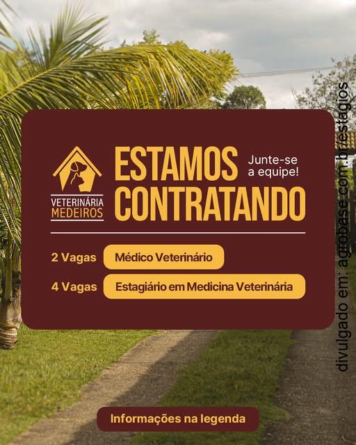 04 vagas estagiários em medicina veterinária – Jundiaí/SP