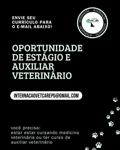 Estagiário de med. veterinária – Praia Grande/SP