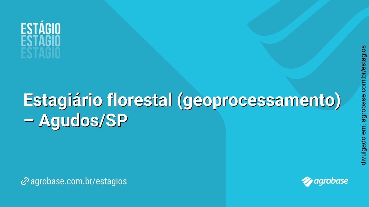 Estagiário florestal (geoprocessamento) – Agudos/SP