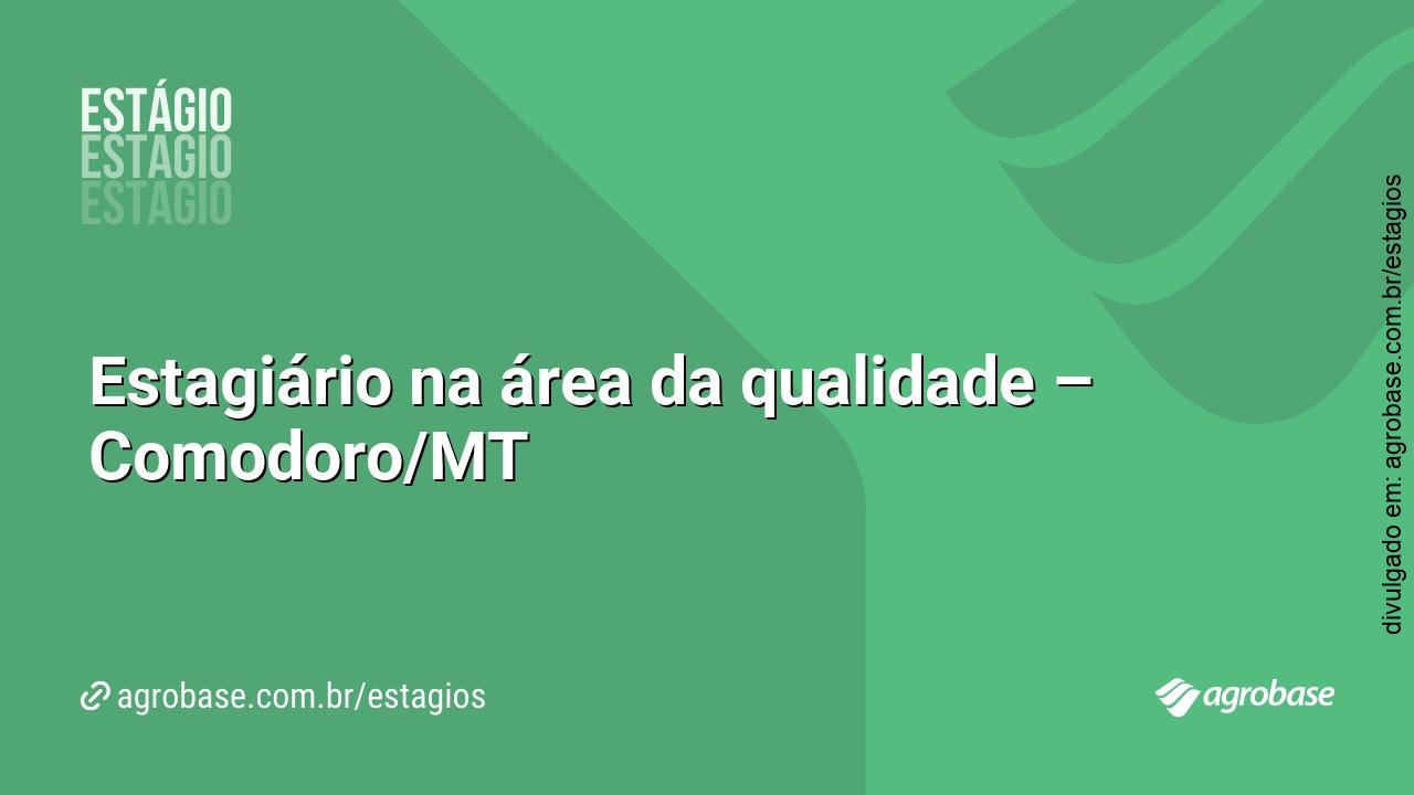 Estagiário na área da qualidade – Comodoro/MT