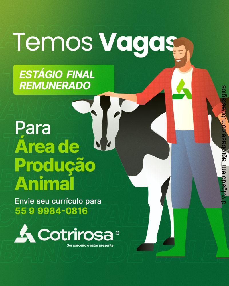 Estágio final área de produção animal
