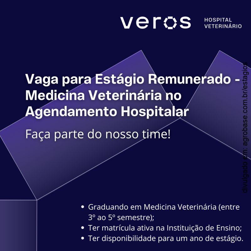 Estágio remunerado medicina veterinária – São Paulo/SP