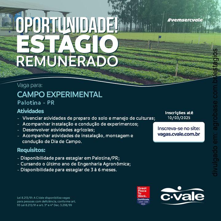 Estágio remunerado campo experimental – Palotina/PR