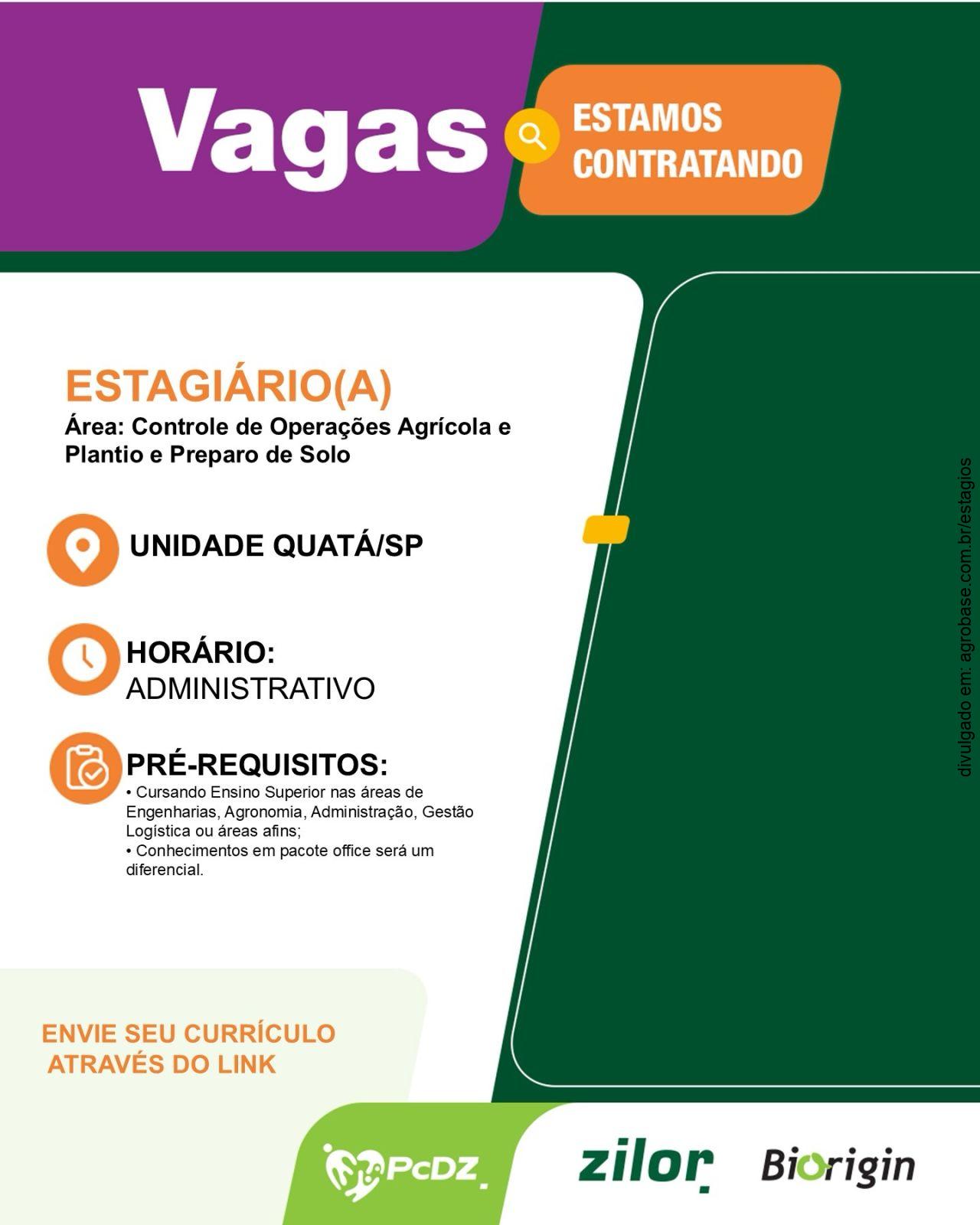 Estagiário em preparo e plantio – Quatá/SP