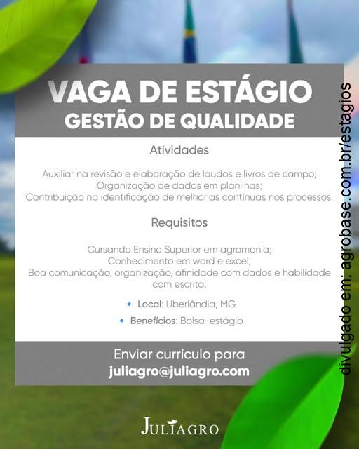 Estágio em gestão de qualidade – Uberlândia/MG