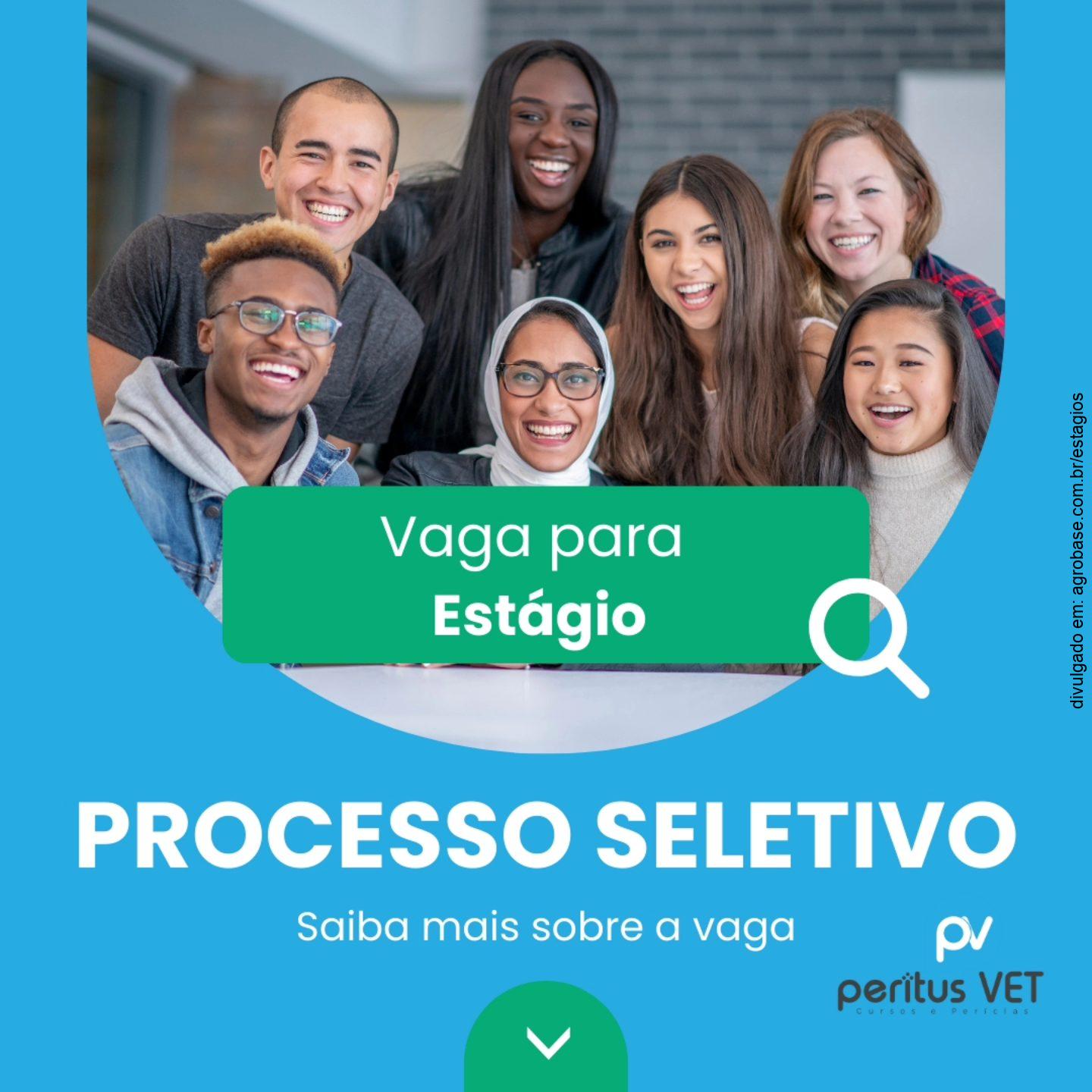 Estágio curricular obrigatório medicina veterinária